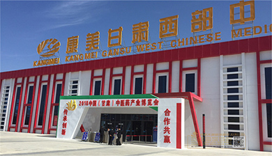 中国(甘肃)中医药产业博览会室外龙门形象