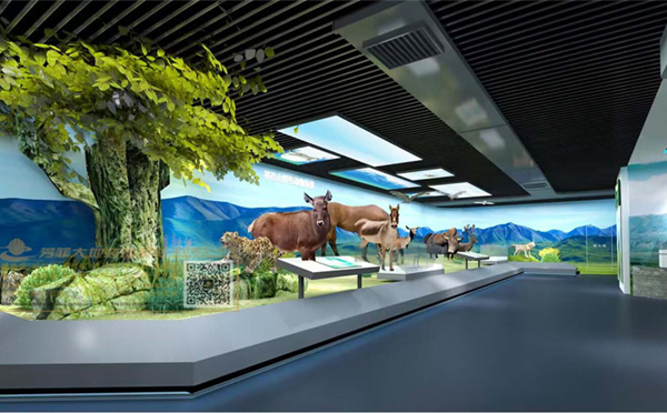 兰州展馆设计:打造城市文化新地标,引领创意空间潮流